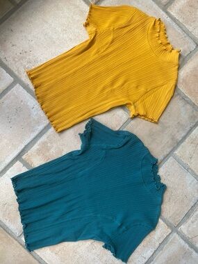 2 for 1 wild fable Ribbed Mock Neck Top Duo - Mustard & Teal
